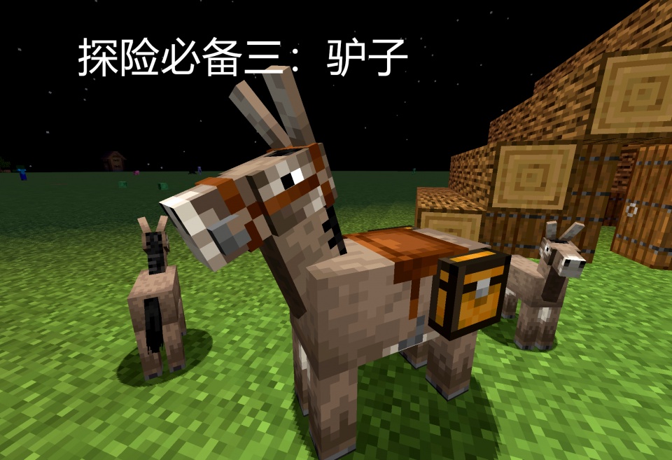 ac300dfbb1a04727bda7da21913fe79c.jpeg