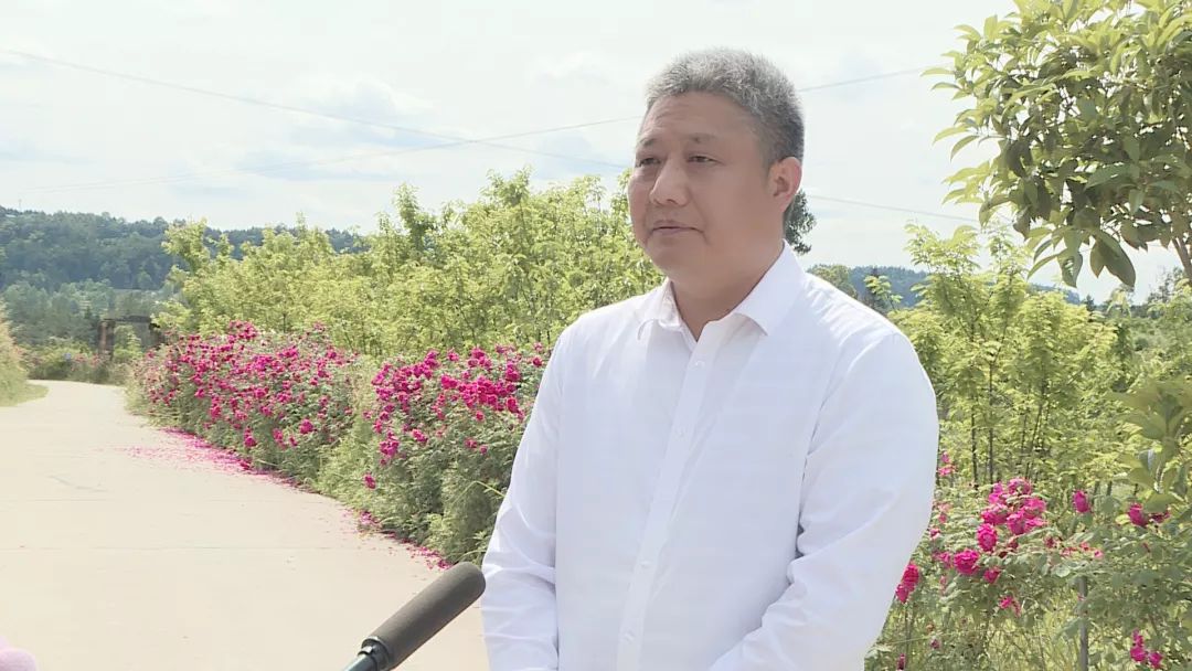平桥区经济总量_信阳平桥区地图(3)