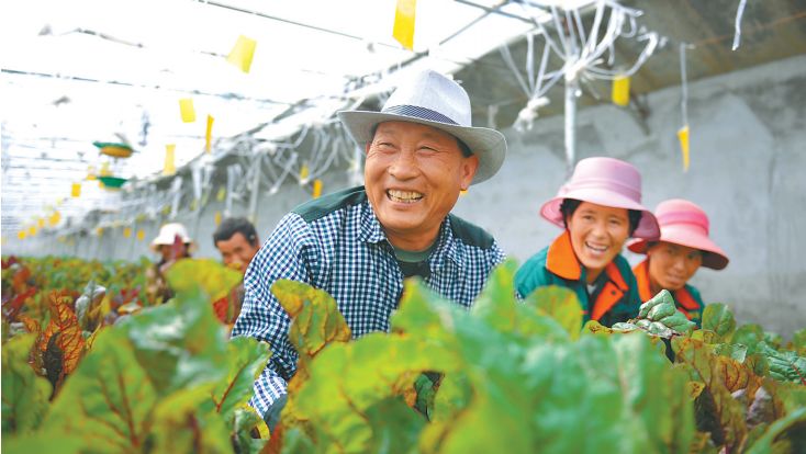 科技下基层 生产提效力 澳门皇冠线上