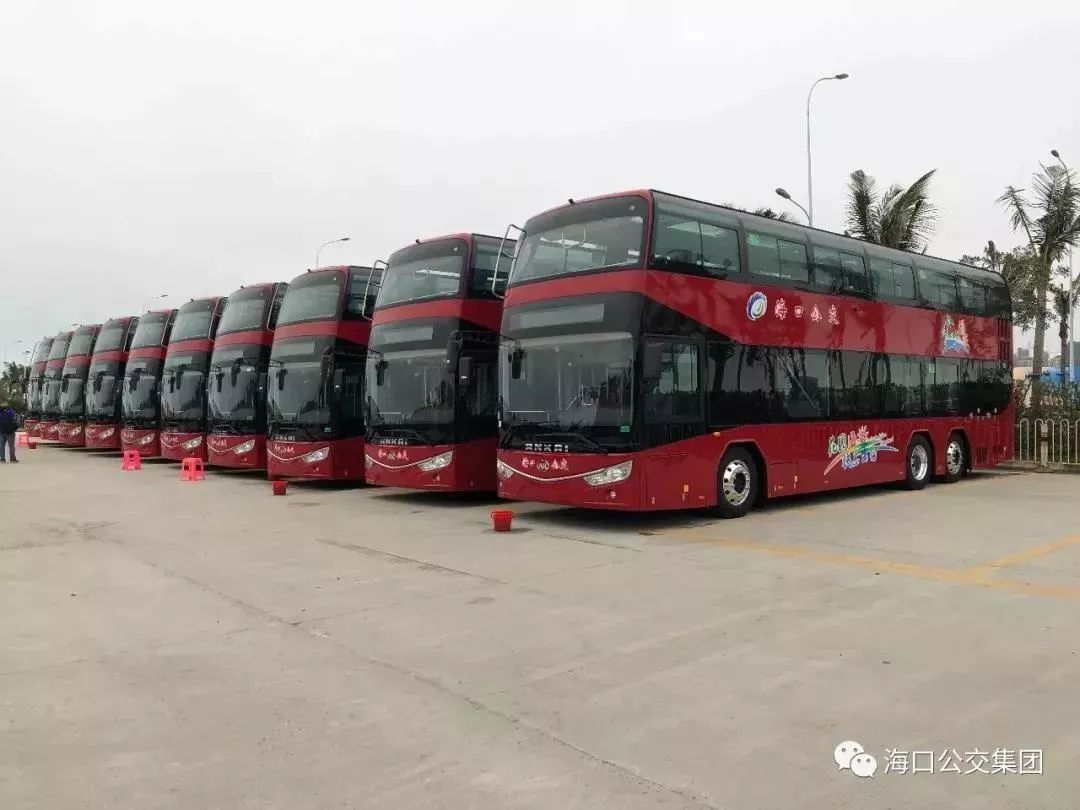 双层巴士视频大全播放 f89fb3f39cdc40ef890c0311e3df2305.jpeg