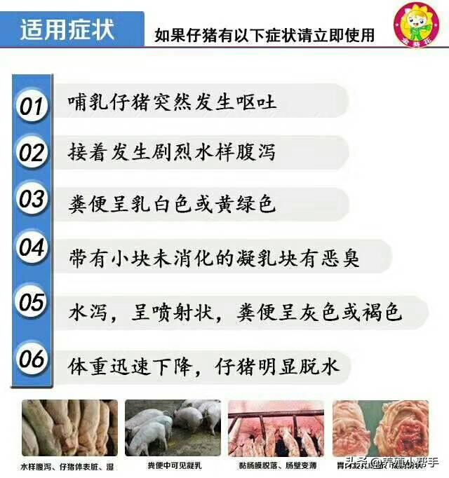 一般检测的有圆环病毒,流行性腹泻病毒,猪瘟病毒和伪狂犬病毒等相关病