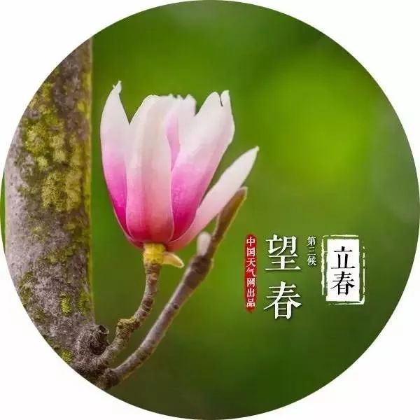 风有信,花不误——二十四番花信风(很美!