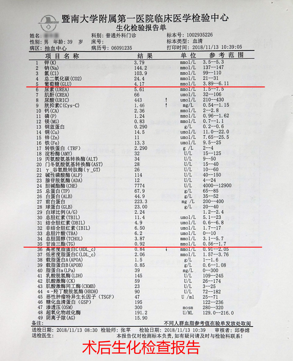 2019中国肥胖人口_中国肥胖人口占比(3)