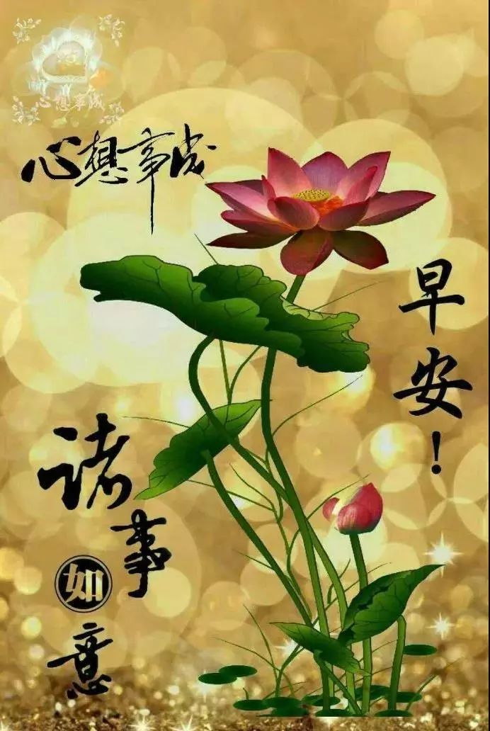 最美早晨好问候表情图片带字温馨 最新版早安祝福问候