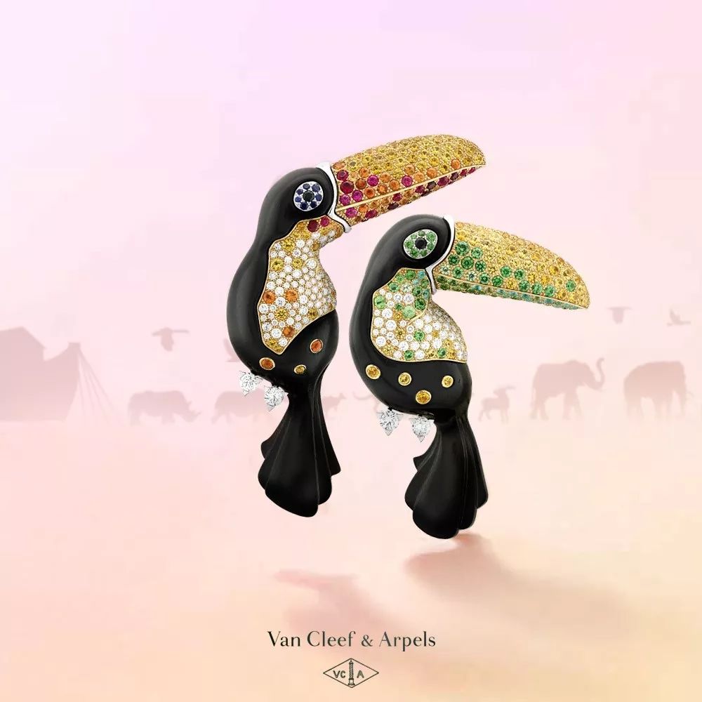 ��ŵ�Ƿ�����������ű�