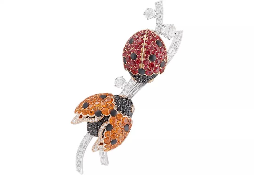 ��ŵ�Ƿ�����������ű�