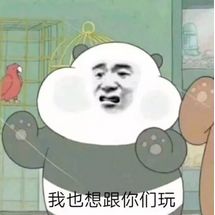 1114c884c642413ba292e31d66aaa793.jpeg
