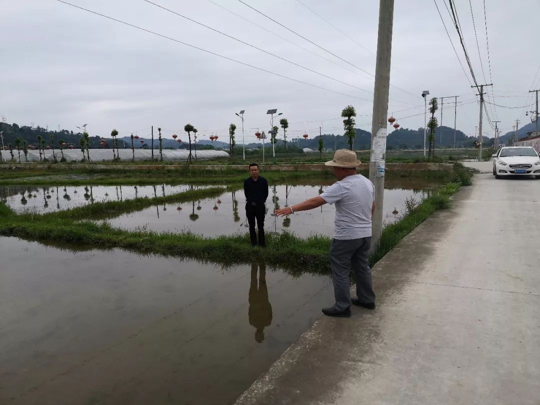 新场乡人口_六枝特区新场乡图片