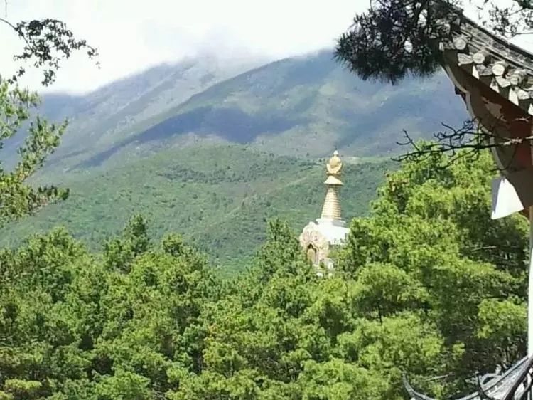 咏转山会、诵跑马山 | 这是康人留给“四月八”最美的旋律 pp电子游戏平台官网