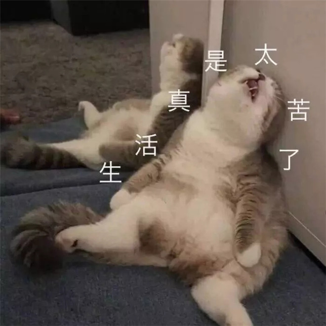 3b30054d473b4858bd8a980d47baf8e6.jpeg