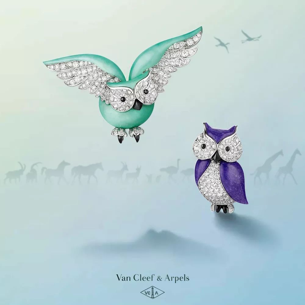 ��ŵ�Ƿ�����������ű�