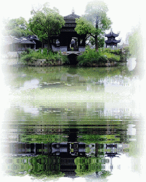 300_372竖版 竖屏gif 动态图 动图