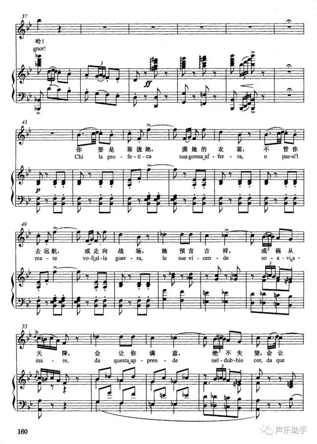 美声歌曲飞蛾简谱_飞蛾扑火图片(3)