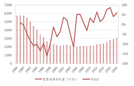 俄罗斯产量兔肉情况成都猪肉加工厂在哪图片