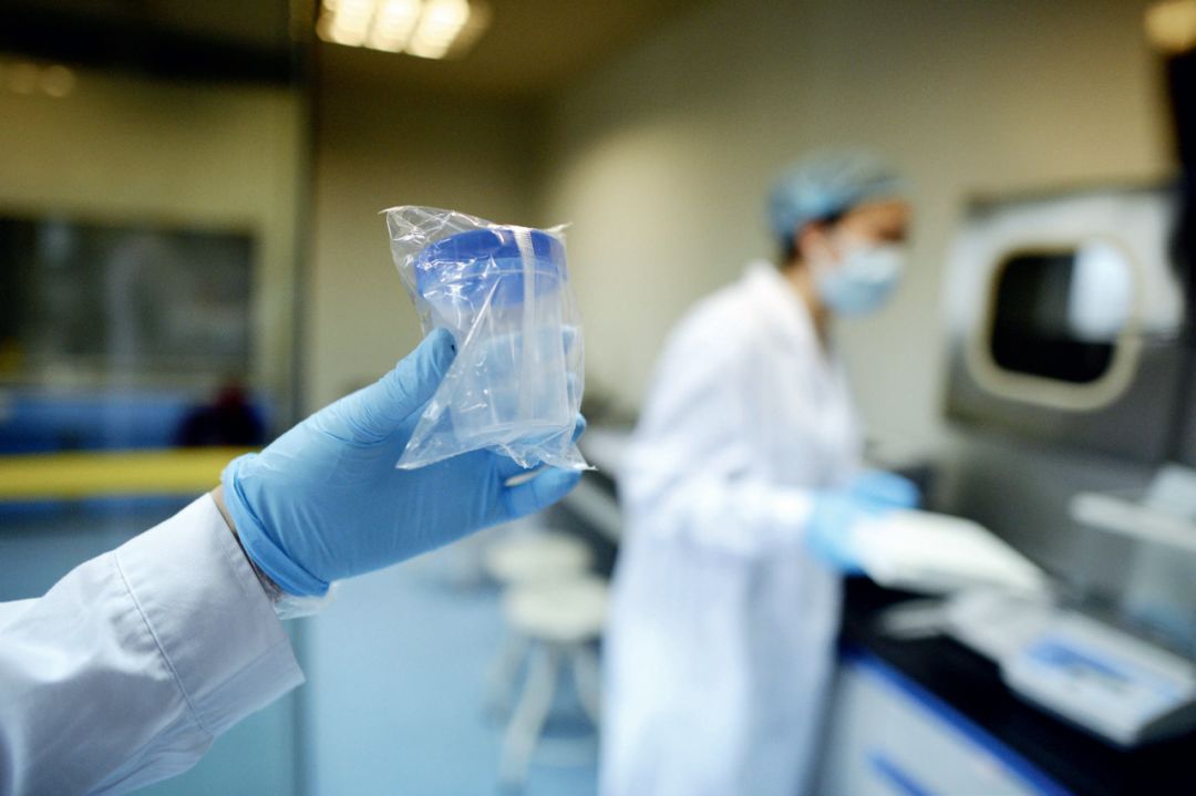 中国一位捐赠者的精子最多只能使五个女性怀孕人类精子库
