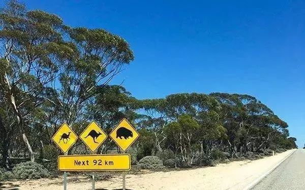 世界十大死亡公路,看到第3个腿就软了!卡友敢走一趟不?