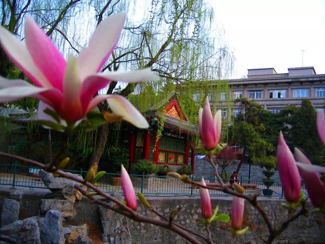 【5.12国际护士节系列活动(四)】我院领导为一线护士送上鲜花和祝福 太阳城669