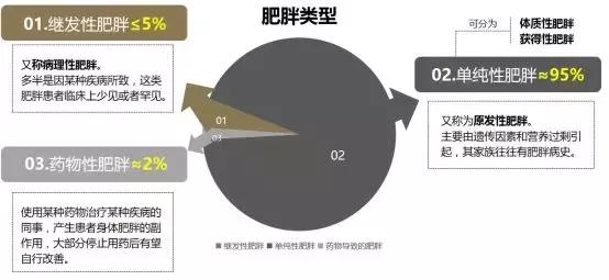 世界防治肥胖日你不是胖了是病了