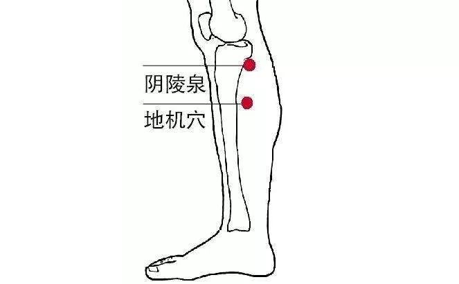 位于阴陵泉穴下3寸.