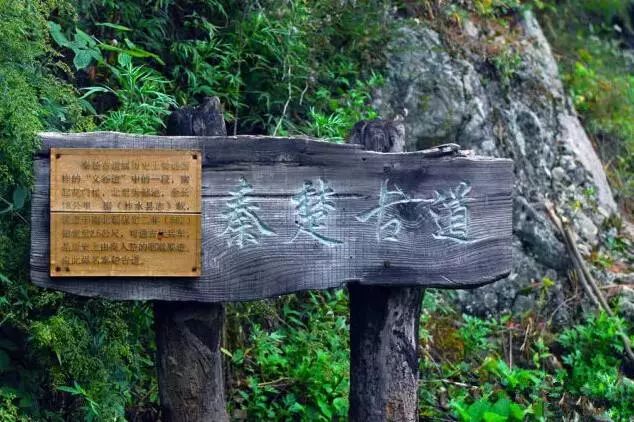 秦楚古道 2019年高山杜鹃花节暨摄影大赛活动启动仪式在秦楚古道景区