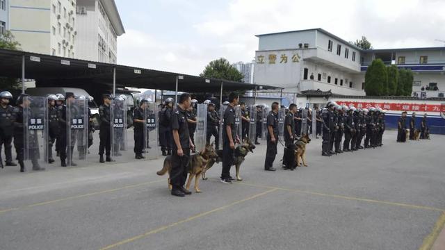 织金县人口_织金县公安局关于招聘警务辅助人员的公告