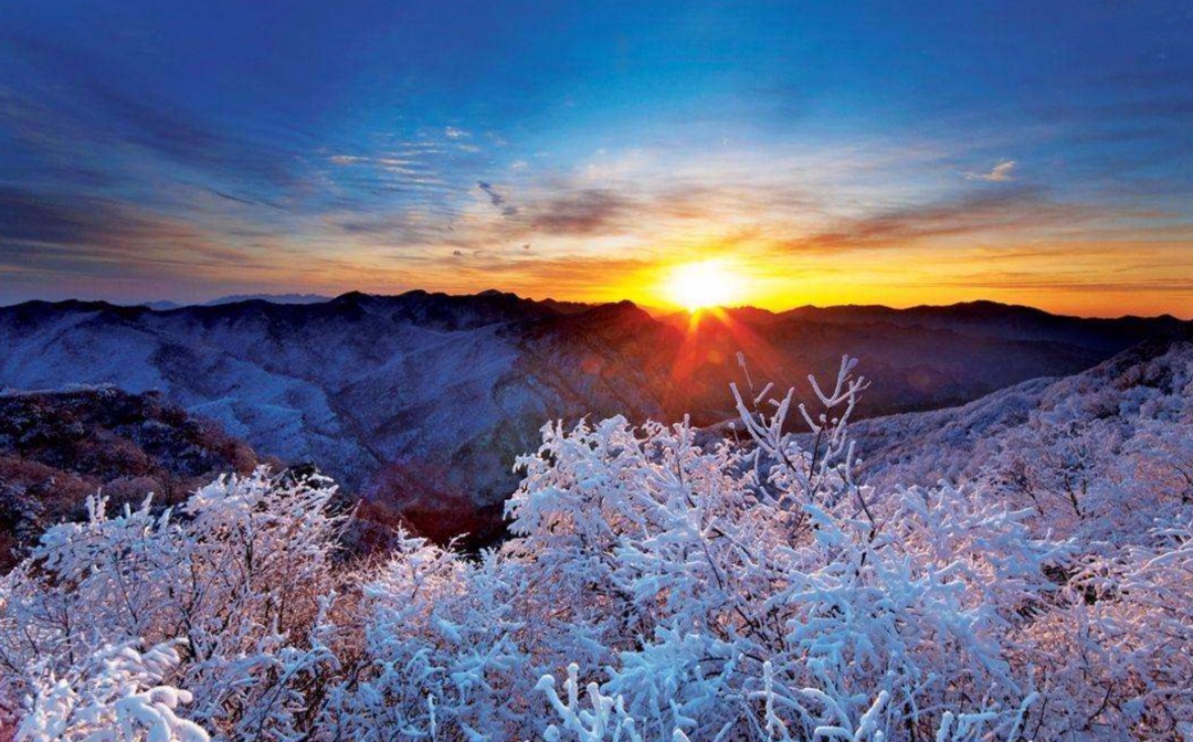 境地 7e4f34be9c6c4c2089763c3015d81efb.jpeg