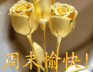 843387ca54d44f648b0389bdf1b4d66e.gif
