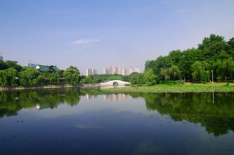 在月湖公园里,隐逸着武汉的初夏味道!