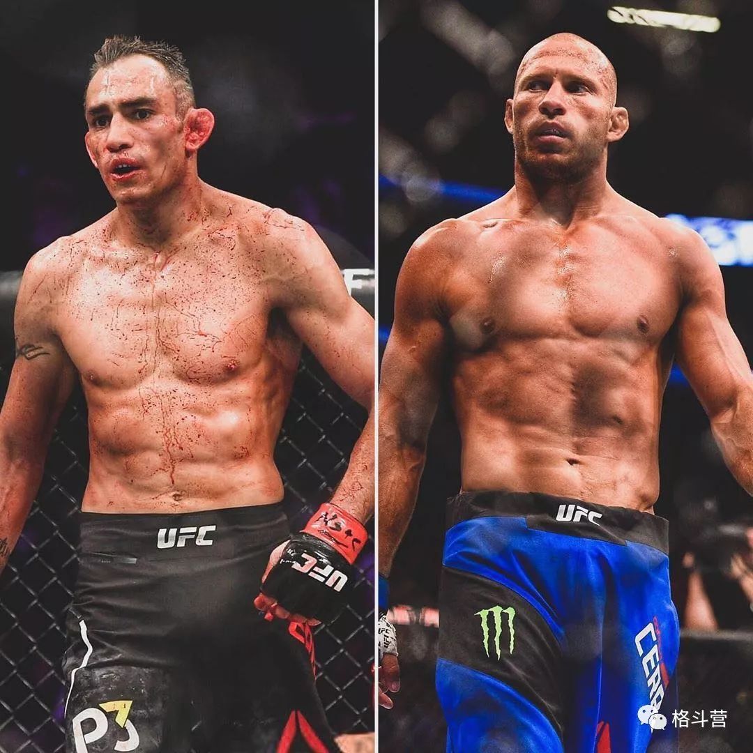 ¡¾¸ñ¶·Ç°Ïß¡¿Å£×ÐҹħԼսufc238 ½öÒ»¸öÔÂÈûÂÞÄáÔÙ¶È