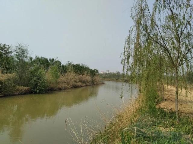 一个心灵的栖息地—游冠县马颊河生态旅游度假区有感