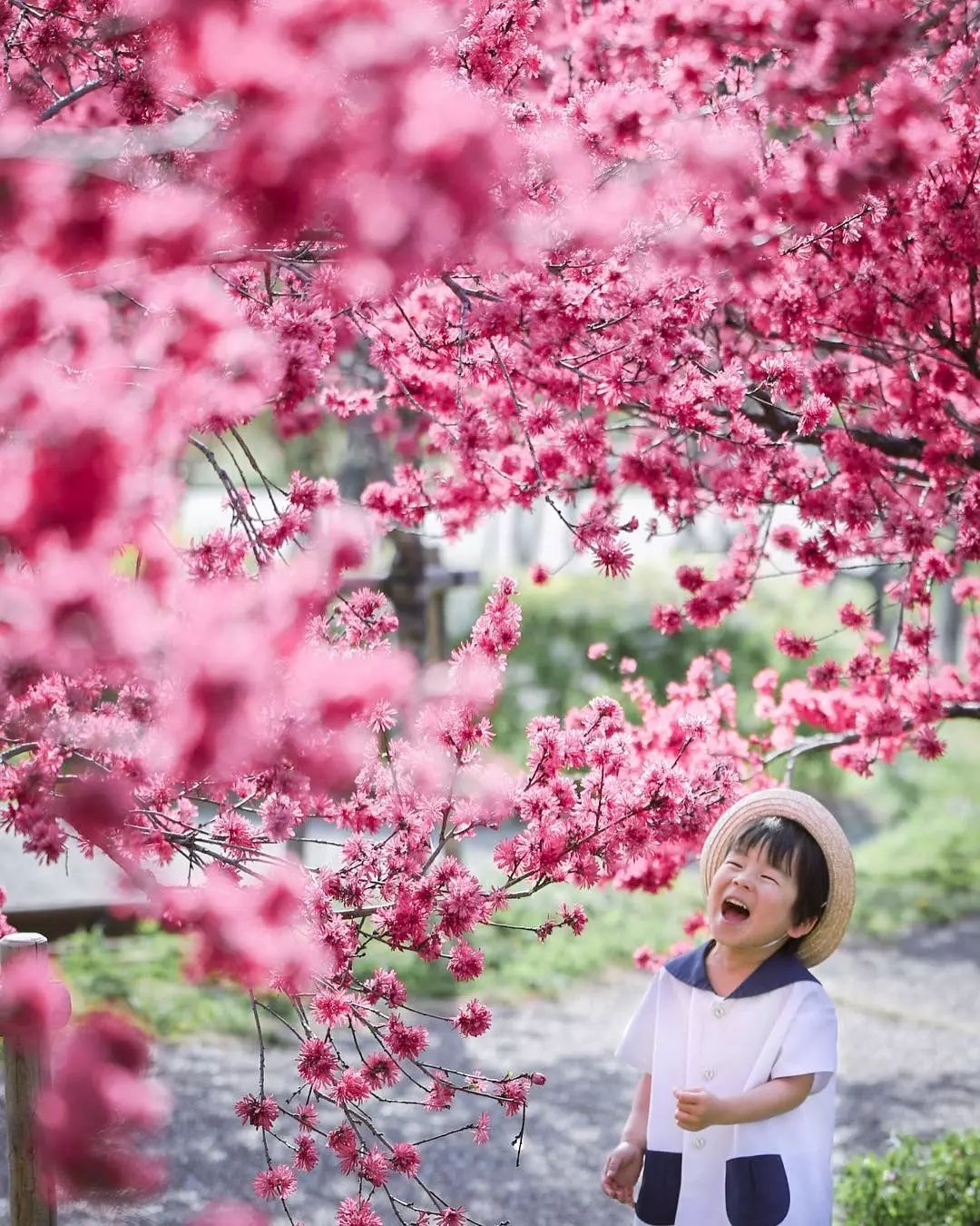 日本妈妈偷拍儿子3年,从摄影白痴逆袭成摄影大神!美成宫崎骏童话 兴发娱乐注册送58