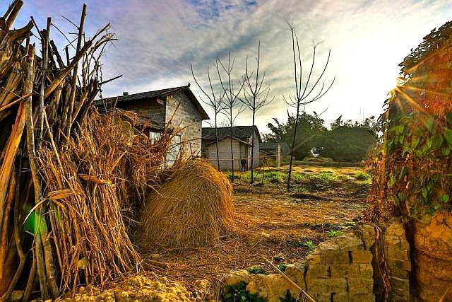 乡村人口是_乡村人口向城市迁移