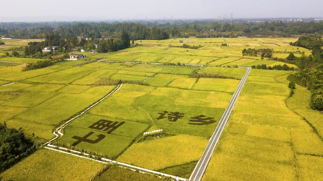 七里诗乡景区核心区域位于柳街镇金龙,七里社区,面积5739亩,是"中国