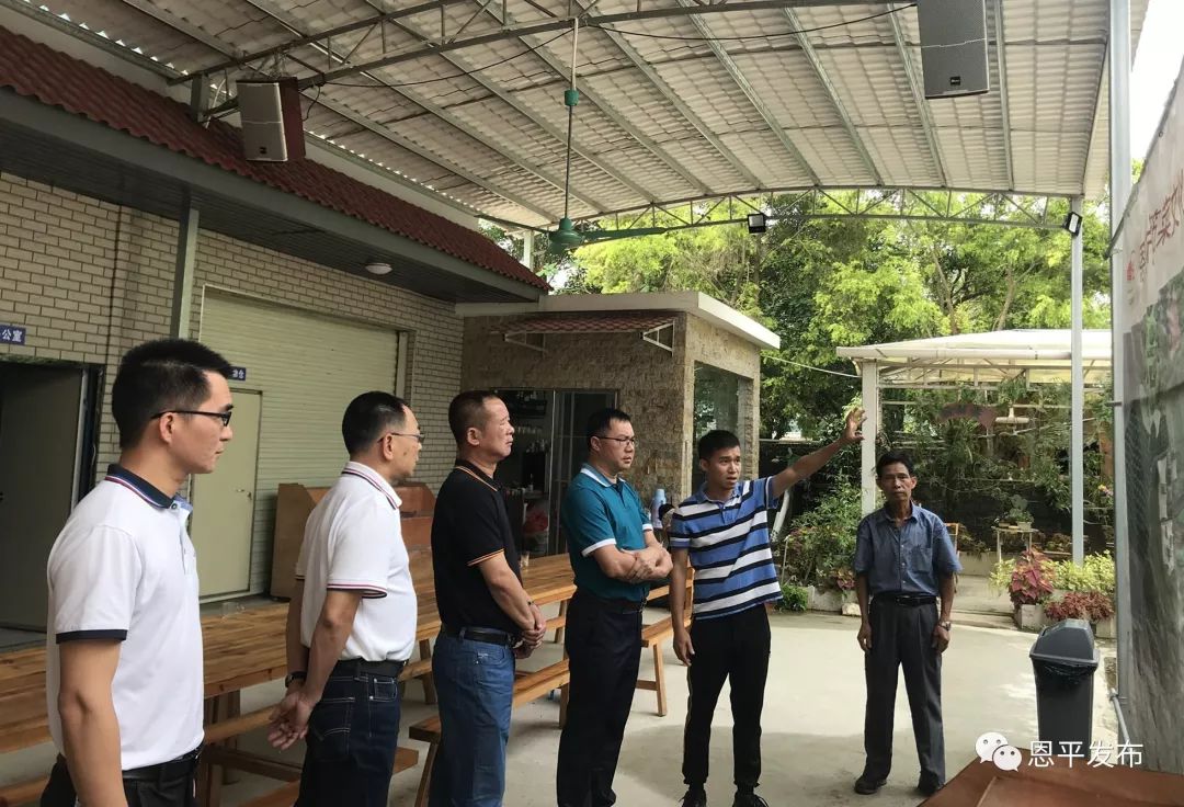 谢超武:让簕菜产业在乡村振兴中迸发新活力