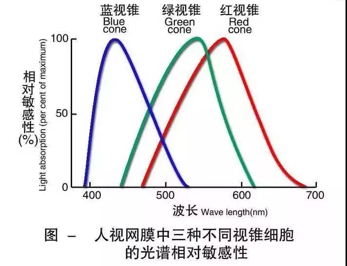 鞋塘人口_通则不痛 我区医好水系 淤堵症(3)