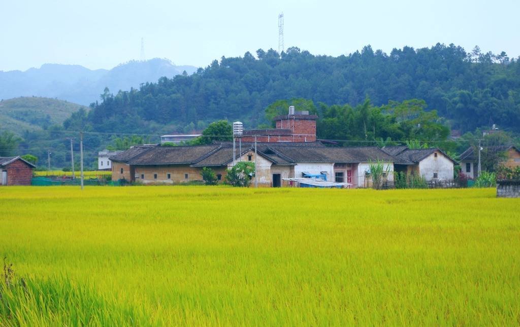 农村人口地_农村地锅灶台图片