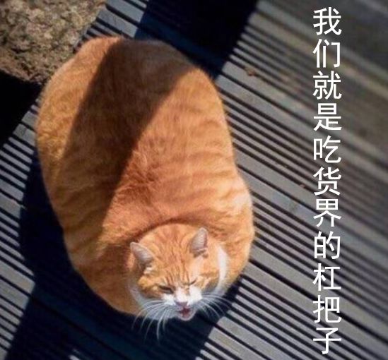 没事不要养奶橘,不然就等着在幸福的海洋遨游吧~ bbin真人娱乐