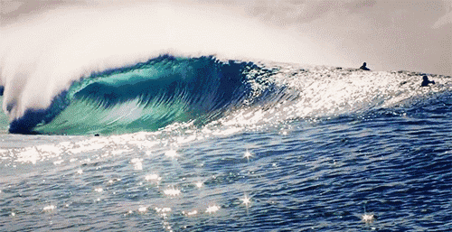cb3117a6af6148eca3394cd1e367643c.gif