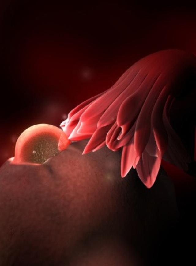 d4786e61d7a0482480e71ff2976ec3e2.jpeg