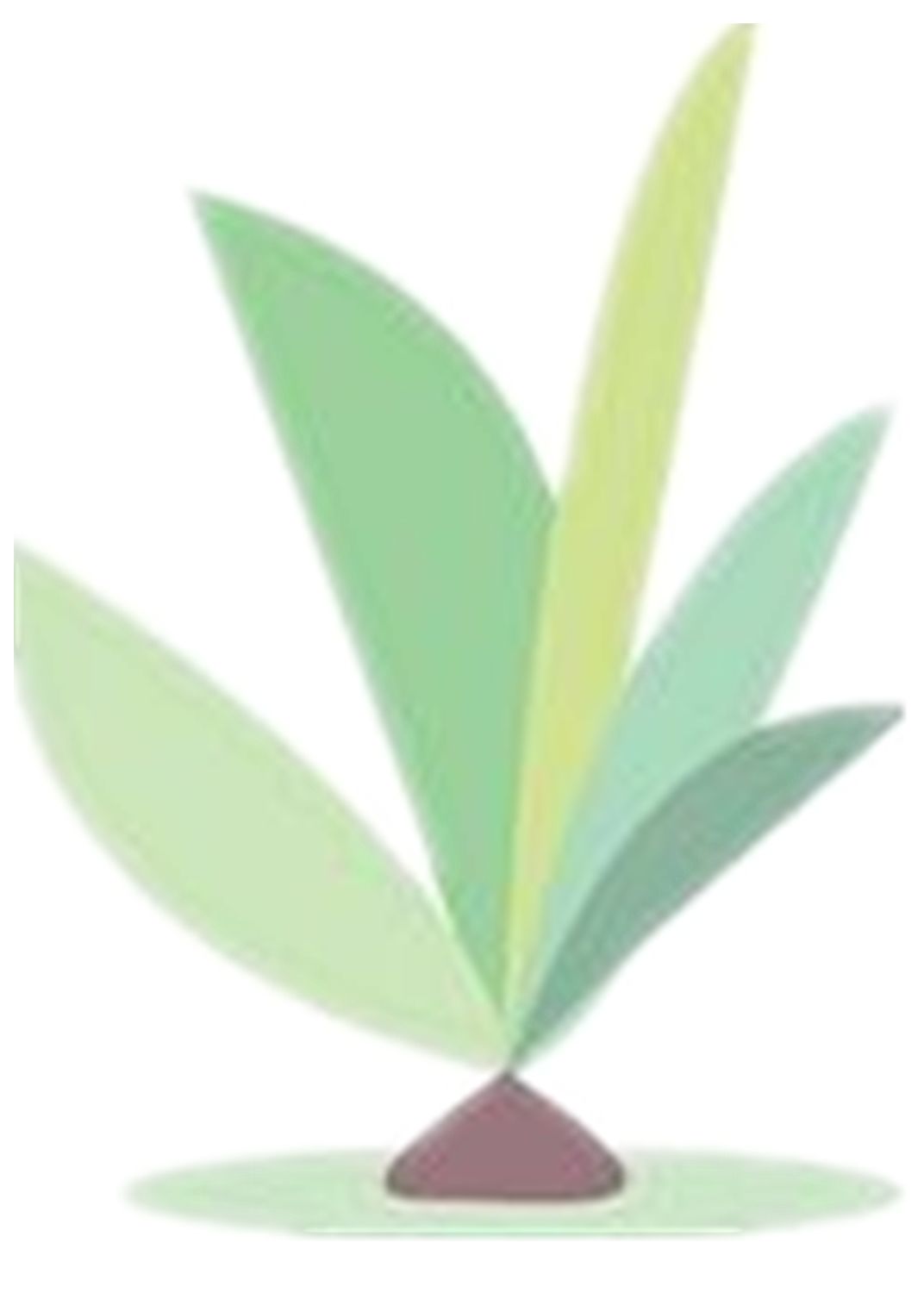 虚火上升,失眠、眼涩?吃这道膳食尤为适宜!