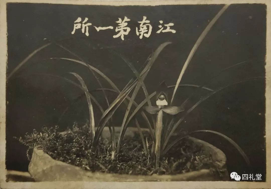 一书比对图沈渊如与兰花合影沈渊如与其子沈荫椿沈渊如(1905-1979)