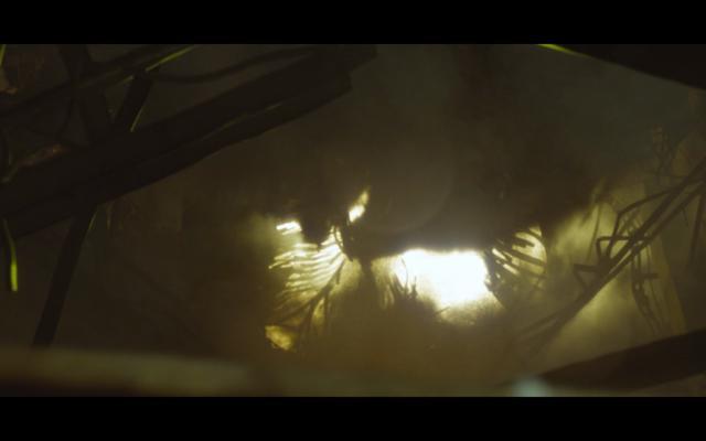 飞蛾扑火的真相 ef41f8b6bf83430f855b446d077db3ff.jpeg