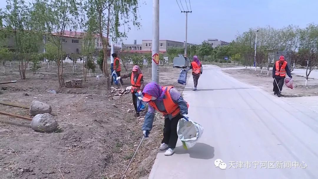 宁河区大北涧沽镇有多少人口_宁河区芦台镇地图(3)