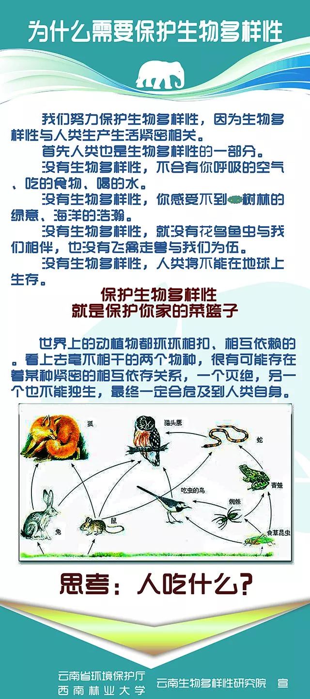 《保护生物多样性科普宣传系列》经过征集,评选和公示环节,近日,生态