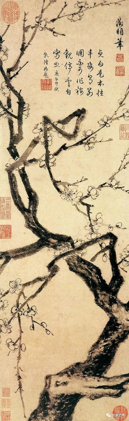 名家梅花作品欣赏（第50集）[63幅]_河南劉振華的博客_新浪博客