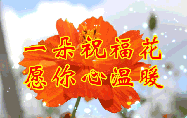 母亲节快乐祝愿天下的母亲幸福安康长命百岁
