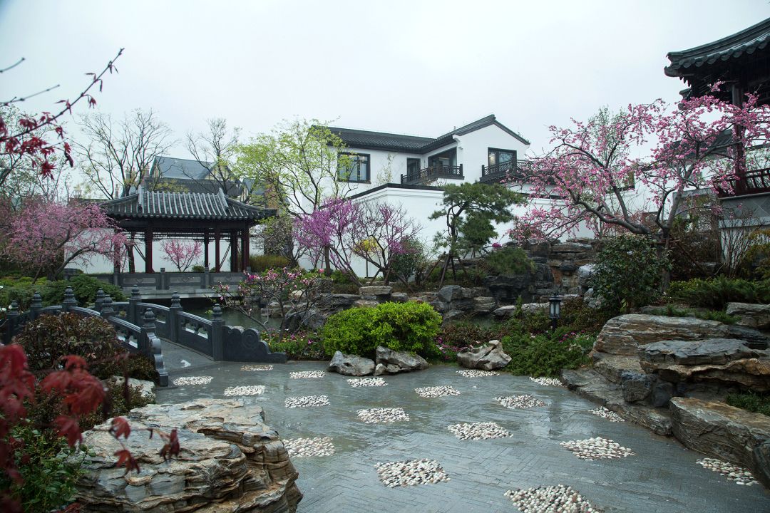 天泰桃花源