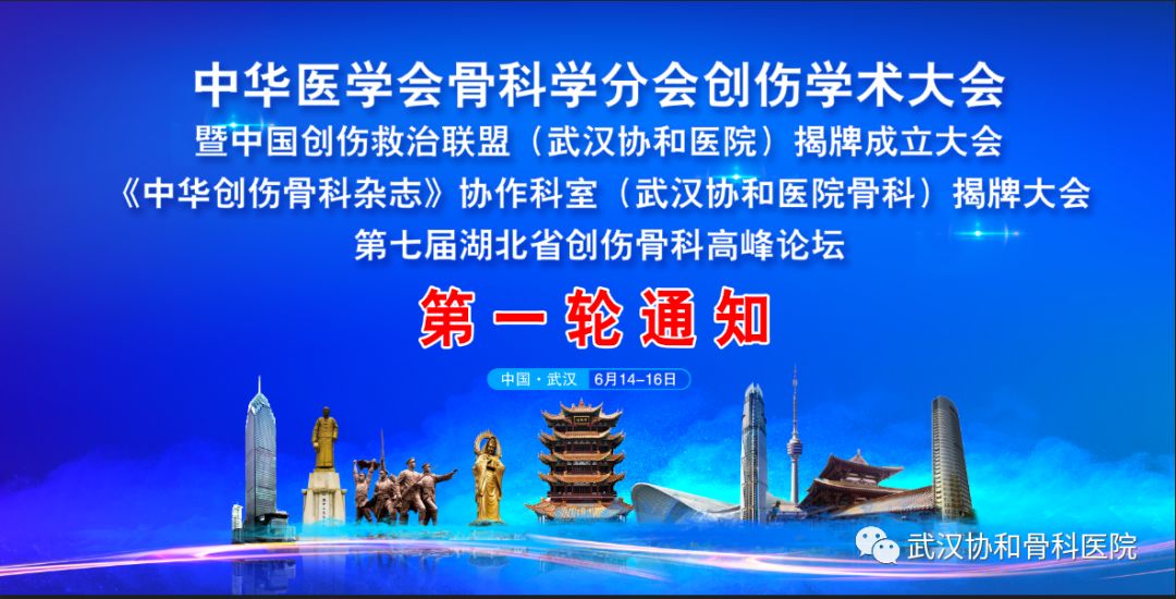中华医学会骨科学分会创伤学术大会暨第七届湖北省创伤骨科高峰论坛 经典欧美gifXXOO动态图