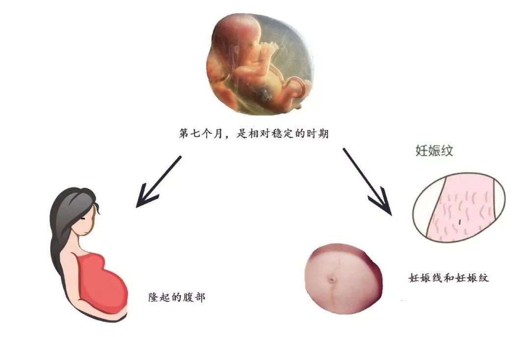 胸膝卧位法原理是什么_膝卧位是什么姿势图片(2)