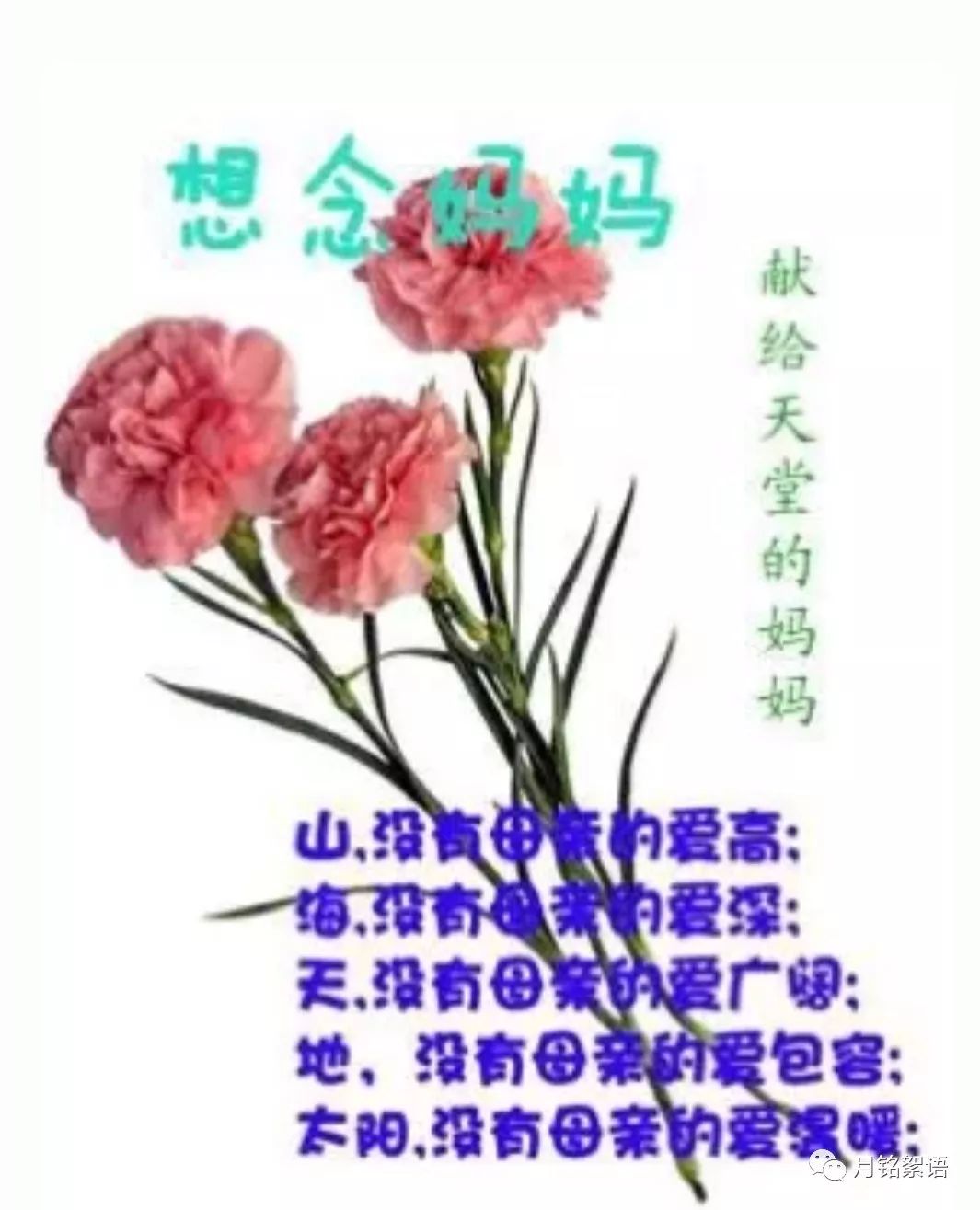 我的菩萨我的佛——怀念母亲